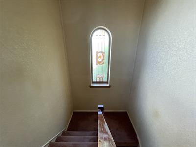 Picture 26